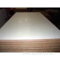 White Melamine Overlay Laminate Faced Plywood